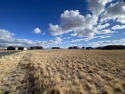 This beautiful lot has views in every direction and is ready for for sale in Helena Montana Lewis and Clark County County on GolfHomes.com