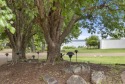  Ad# 6162314 golf course property for sale on GolfHomes.com