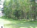 Beautiful country subdivision, overlooking gorgeous 'Lakewood on for sale in Cadillac Michigan Wexford County County on GolfHomes.com