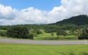 Gorgeous lot in one of the best Golf Communities in the for sale in Hayesville North Carolina Clay County County on GolfHomes.com