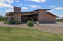 AMAZING MID-CENTURY MODERN HOME in Pecan Plantation's newer, Texas
