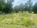 Build Your Dream Home!
Beautiful lot in the growing Live Oak for sale in Crescent City Florida Putnam County County on GolfHomes.com