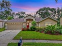 $5000 in Closing Cost Assistance with Acceptable Offer! Welcome for sale in Valrico Florida Hillsborough County County on GolfHomes.com