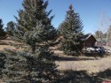  Ad# 5906404 golf course property for sale on GolfHomes.com