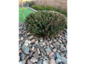  Ad# 6186809 golf course property for sale on GolfHomes.com