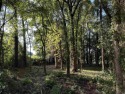 This is a unique opportunity to own a picturesque lot on the for sale in Georgetown South Carolina Georgetown County County on GolfHomes.com