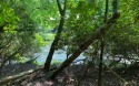 This river front lot is located in Buckhorn Estates, a wildlife for sale in Ellijay Georgia Gilmer County County on GolfHomes.com