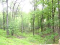  Ad# 6343288 golf course property for sale on GolfHomes.com