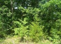 Build your Dream Home on this Great Wooded corner lot. Ideal for for sale in Loudon Tennessee Loudon County County on GolfHomes.com