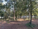 Welcome to Horse Creek, a well established neighborhood located for sale in Graniteville South Carolina Aiken County County on GolfHomes.com