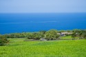 This is Hokulia Phase 1, Lot 183! This peaceful 1.02-acre home for sale in Captain Cook Hawaii Big Island County County on GolfHomes.com