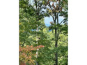  Ad# 6739906 golf course property for sale on GolfHomes.com