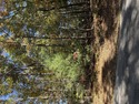  Ad# 6754662 golf course property for sale on GolfHomes.com