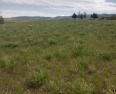 Experience the epitome of rural living in White Sulphur Springs for sale in White Sulphur Springs Montana Meagher County County on GolfHomes.com