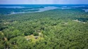 Discover your dream country retreat just one mile from DeGray for sale in Bismarck Arkansas Hot Spring County County on GolfHomes.com