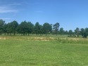 Relax and enjoy the beautiful view of the Stuttgart Country Club for sale in Stuttgart Arkansas Arkansas County County on GolfHomes.com