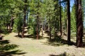 BRING YOUR TENNIS RACKETS AND LIVE YOUR BEST LIFE... IN for sale in Graeagle California Plumas County County on GolfHomes.com