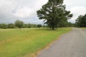 1.23 acres to build your dream home at The Blueberry Plantation for sale in Alma Georgia Bacon County County on GolfHomes.com