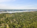 This land has amazing potential.  +/-130 acres with ICW frontage for sale in Southport North Carolina Brunswick County County on GolfHomes.com