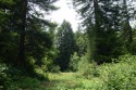 Rare and beautiful subdivision lot w/secluded privacy and Del for sale in Crescent City California Del Norte County County on GolfHomes.com