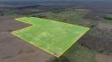 Your piece of heaven awaits! Premier golf course parcel, state for sale in Grass Lake Michigan Jackson County County on GolfHomes.com