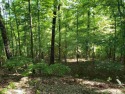 Here is a 7-lot package deal. You can purchase all 7 lots for for sale in Cherokee Village Arkansas Fulton County County on GolfHomes.com