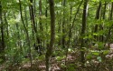 BEAUTIFULLY WOODED LOT IN THE MOUNTAINS OF NORTH CAROLINA!! This for sale in Hayesville North Carolina Clay County County on GolfHomes.com