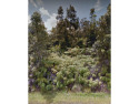 This beautiful 8,451 square foot vacant lot in Royal Hawaiian for sale in Volcano Hawaii Big Island County County on GolfHomes.com
