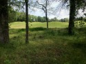 Lovely wooded golf course lot overlooking a lush fairway in, South Carolina