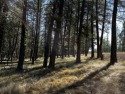 Want to build your dream home in the *woods of Montana* then for sale in Eureka Montana Lincoln County County on GolfHomes.com