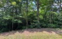 ACREAGE IN THE NORTH CAROLINA MOUNTAINS!! This beautifully for sale in Hayesville North Carolina Clay County County on GolfHomes.com