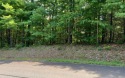 ACREAGE IN THE NORTH CAROLINA MOUNTAINS!! This beautifully for sale in Hayesville North Carolina Clay County County on GolfHomes.com