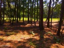 Build your Dream Home in Lockwood Folly gated community along for sale in Supply North Carolina Brunswick County County on GolfHomes.com