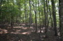 Must see the view from this beautiful wooded lot in Stillwaters, Alabama