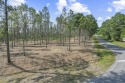 Welcome to your slice of paradise in Hidden Creek Estates for sale in Saucier Mississippi Harrison County County on GolfHomes.com