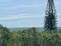 Premier Buildable Lot in Discovery Harbour 180 degrees Ocean for sale in Naalehu Hawaii Big Island County County on GolfHomes.com