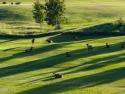  Ad# 6326547 golf course property for sale on GolfHomes.com