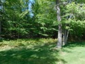 Golf course is under new ownership. This lot is available and for sale in Grayling Michigan Crawford County County on GolfHomes.com