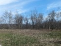 A beautiful 80 acre parcel with a mix of open and wooded land for sale in Tawas City Michigan Arenac County County on GolfHomes.com
