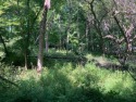 Great opportunity to own a wooded building lot in Apple Valley for sale in Howard Ohio Knox County County on GolfHomes.com