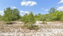 Buildable residential lot in the well-established Placid Lakes for sale in Lake Placid Florida Highlands County County on GolfHomes.com
