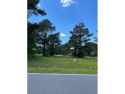 7 acre building lot at Blueberry Golf Course for sale in Alma Georgia Bacon County County on GolfHomes.com