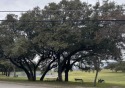  Ad# 5865885 golf course property for sale on GolfHomes.com