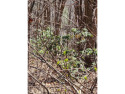  Ad# 5953340 golf course property for sale on GolfHomes.com