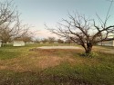 Wonderful DOUBLE LOT located in the heart of Horseshoe Bend! for sale in Weatherford Texas Parker County County on GolfHomes.com