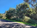 Enjoy the cool climate year round in the ever popular Volcano for sale in Volcano Hawaii Big Island County County on GolfHomes.com
