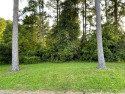 This rare lot offers the perfect setting to build your dream for sale in Little River South Carolina Horry County County on GolfHomes.com