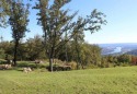  Ad# 5494061 golf course property for sale on GolfHomes.com
