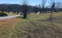 Beautiful Golf Course Lot. Excellent golf course and mountain for sale in Hayesville North Carolina Clay County County on GolfHomes.com