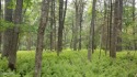 Beautiful level wooded lot in FAWN LAKE is available for the for sale in Hawley Pennsylvania Pike County County on GolfHomes.com